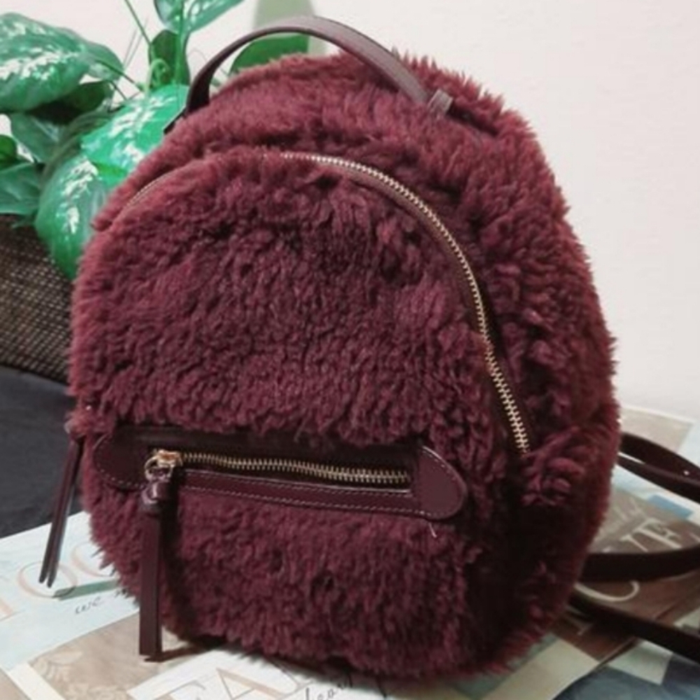 (NEW WITH TAGS) Express Teddy Mini Backpack